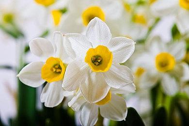 Xbox老大和B社副总在测试《星空》 暴雪总裁也想玩